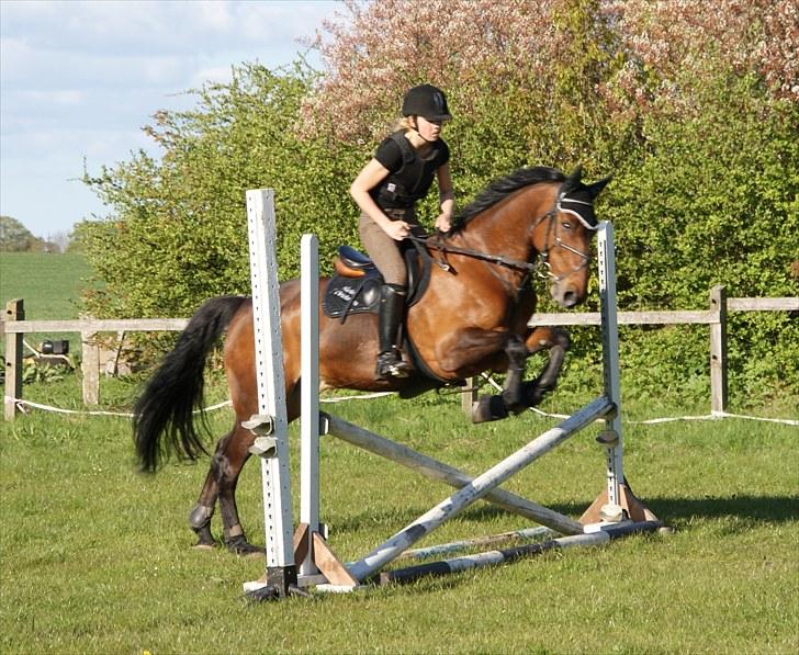 Anden særlig race Djenkiss <'3  - 1, 2, 3, spring :D billede 19