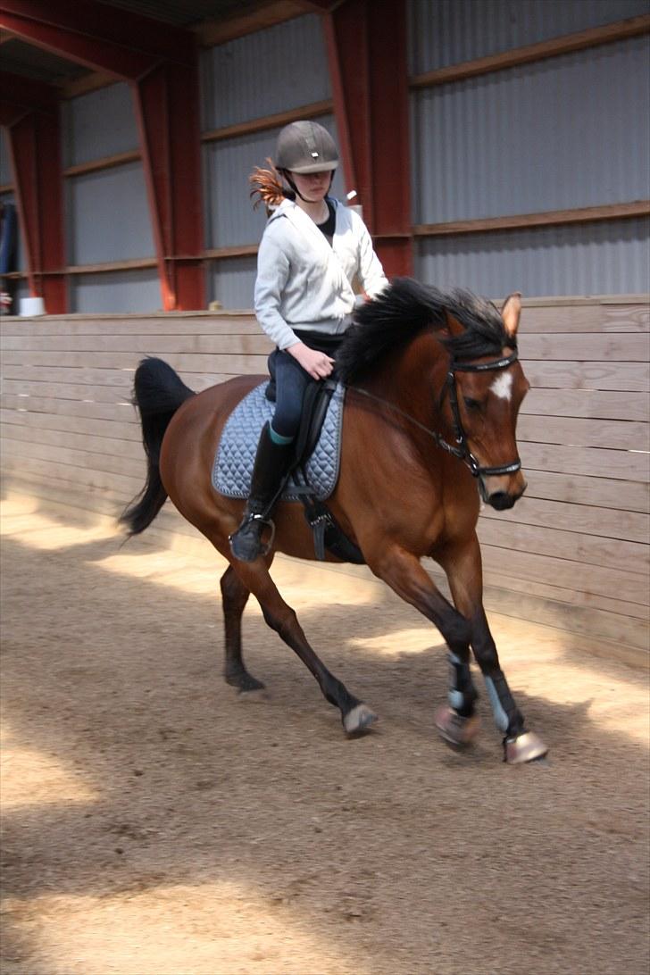 Anden særlig race Mr. Matrix billede 19