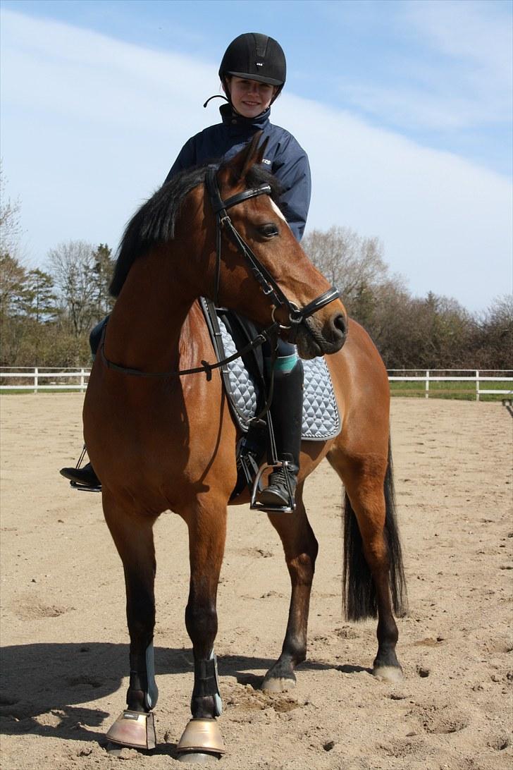 Anden særlig race Mr. Matrix billede 20