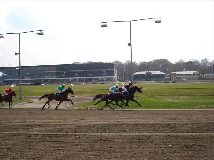 Traver Black Progress - Løb i Charlottenlund billede 17