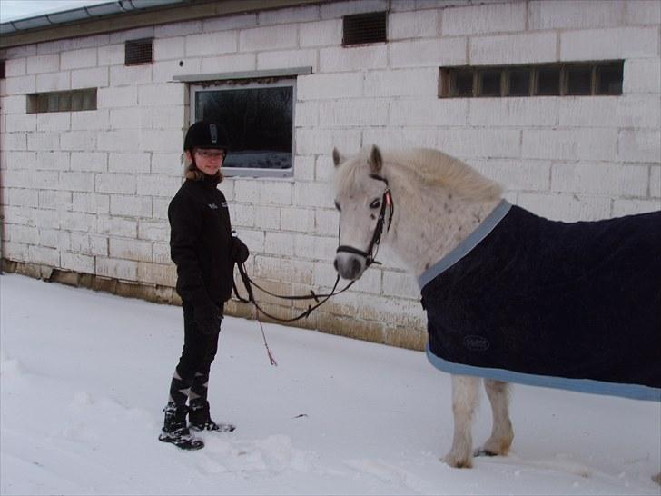Anden særlig race Lotte - Ude i sneen 2010 efter en god ridetur. billede 4