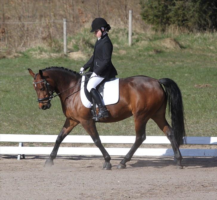 DSP A/G's Domena R.I.P. - :) <3 billede 13