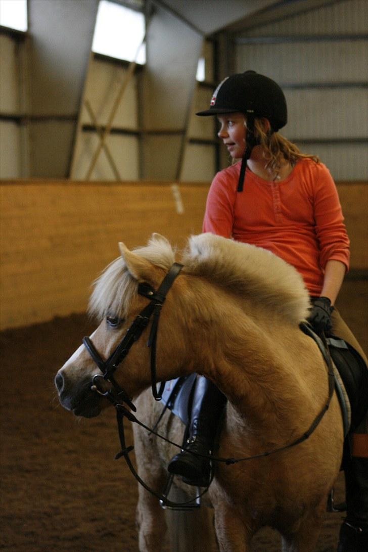 Palomino kosmo  - Jo mere man har, jo mere har man at miste - og omvendt.
<3 billede 13