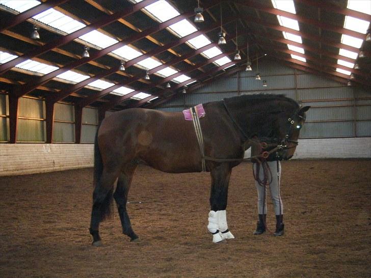 Anden særlig race Casino billede 5