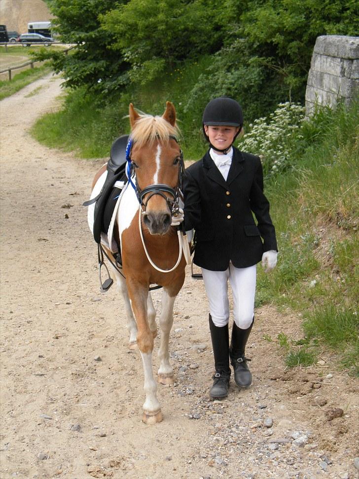 Anden særlig race C-mol  - Mathilde kigger stolt på sin lille præmiepony:) billede 17
