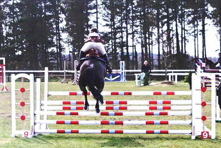 Dansk Varmblod Michel Årup *solgt* - Vi ses !!! billede 17