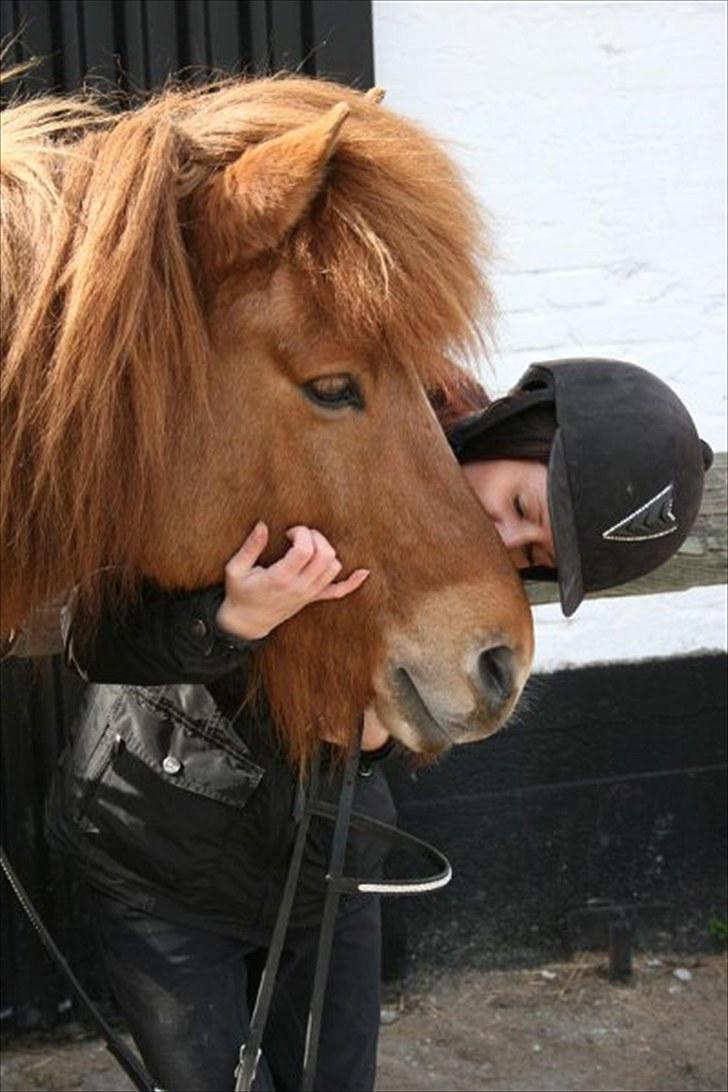 Islænder Ofeigur fra Tyvekrogen - <3 billede 18