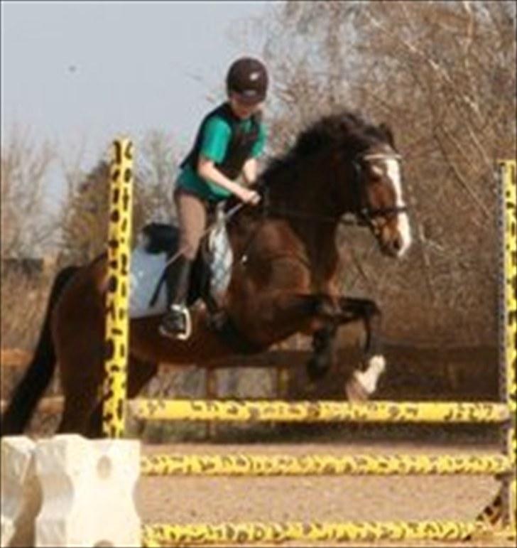 Anden særlig race Max   †DØD†:( billede 8