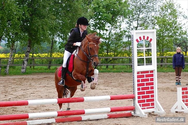 Anden særlig race Josefine  - Du kan være strid, men altid sød.. billede 17