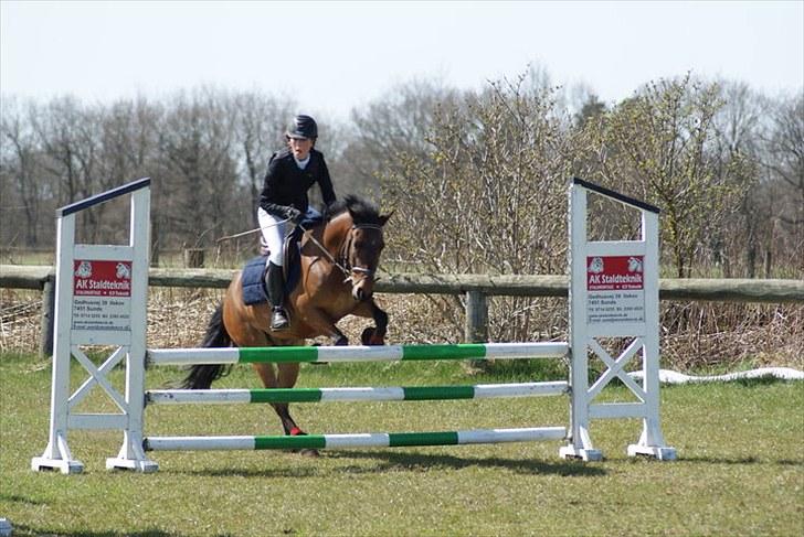 Anden særlig race Athos  billede 1