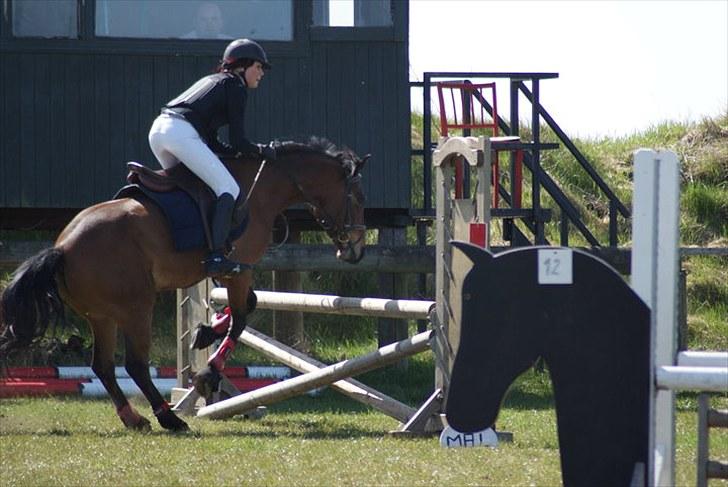 Anden særlig race Athos  billede 2