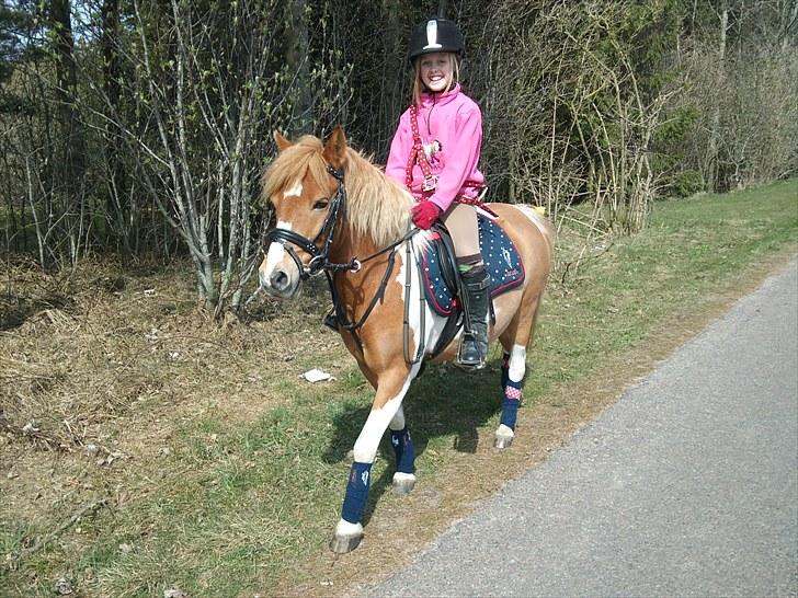 Anden særlig race LYSHOLMS ViKTOR ªkª ViGGO - søøøødt billed :D billede 7