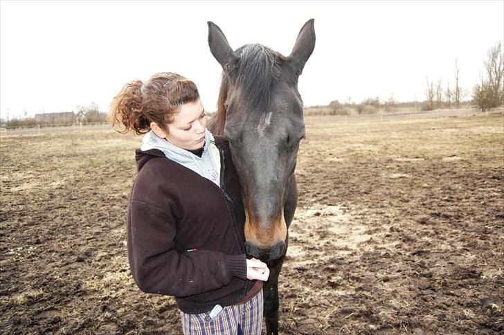 Dansk Varmblod Haifa - Den første dag med haffer :)  billede 9