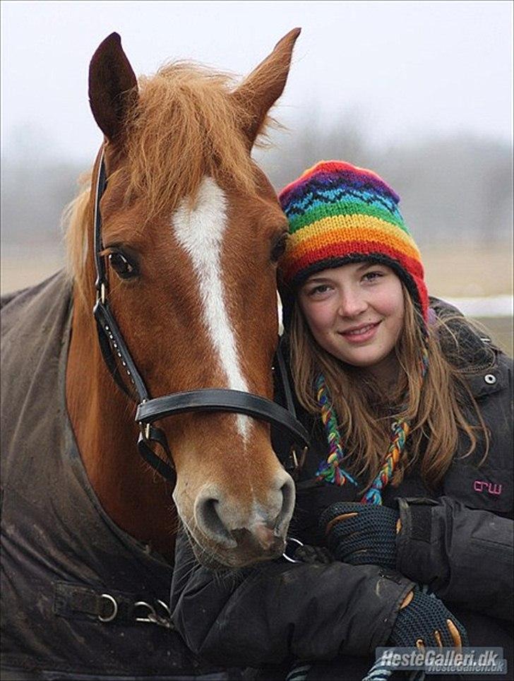 Anden særlig race Salsa billede 6