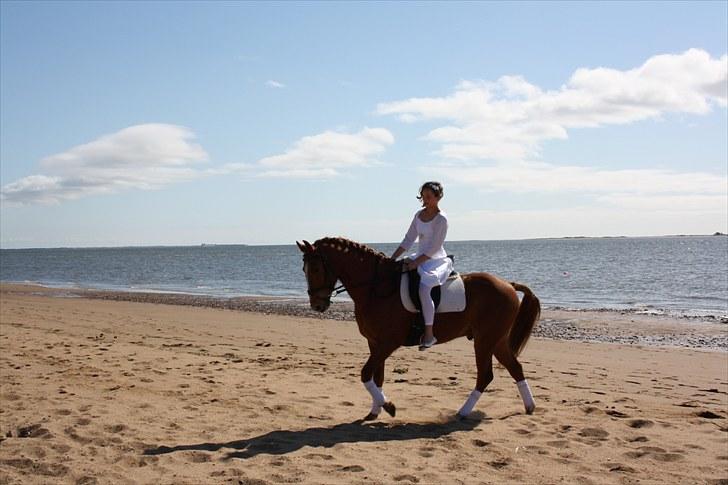 Anden særlig race Salsa - til konfirmation 18/4 - 2010 billede 7