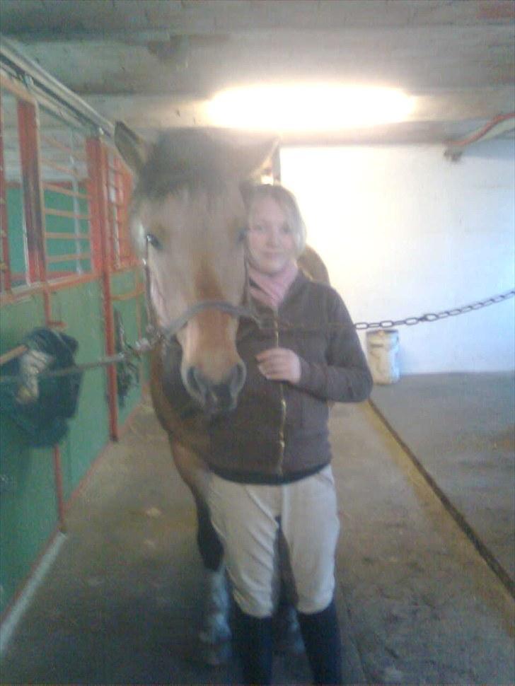 Anden særlig race Fredlyen`s Tulle<3(Red) billede 6