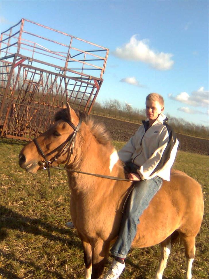 Anden særlig race Fredlyen`s Tulle<3(Red) billede 7