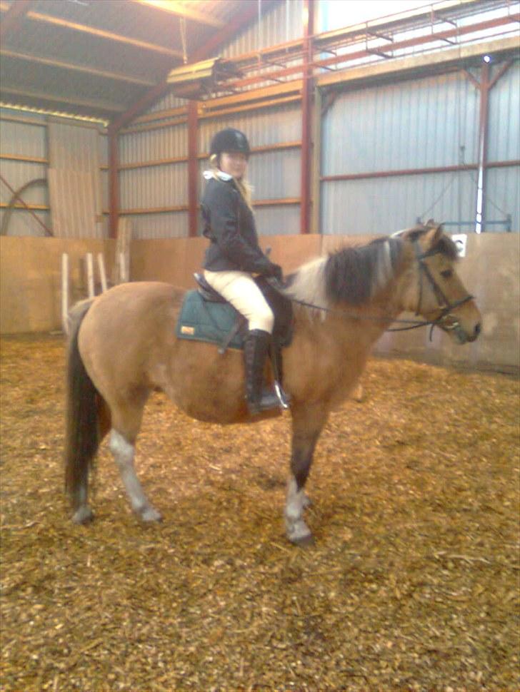 Anden særlig race Fredlyen`s Tulle<3(Red) billede 8