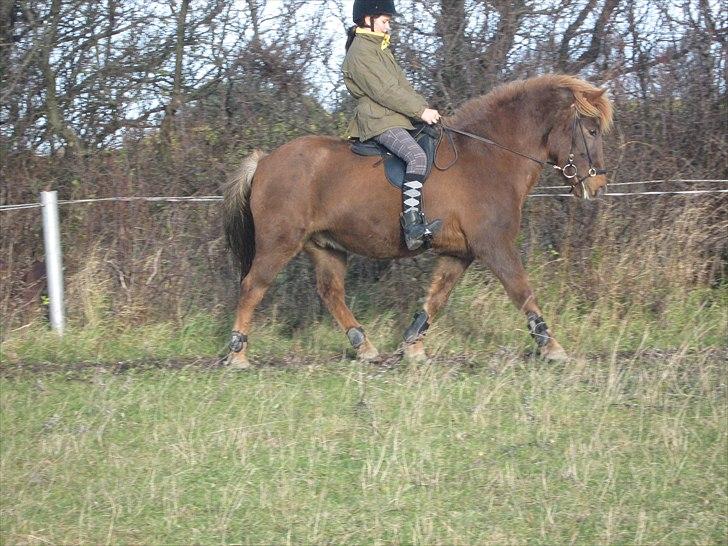 Islænder Thor fra Quistgård - There is a "lie" in believe, "over" in lover, "end" in friend, "us" in trust, and "if" in life.<3 billede 1