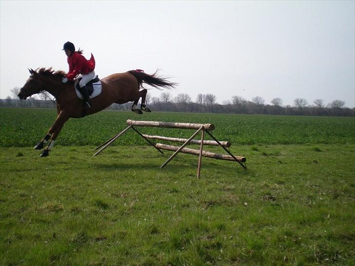 Palomino Kandiz - rigtig godt spring <3 billede 18