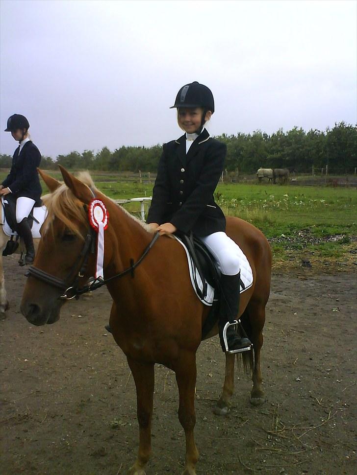 Anden særlig race Ginger, elsket og savnet...<3 - I know all your secrets, and you know mine..<3 billede 3