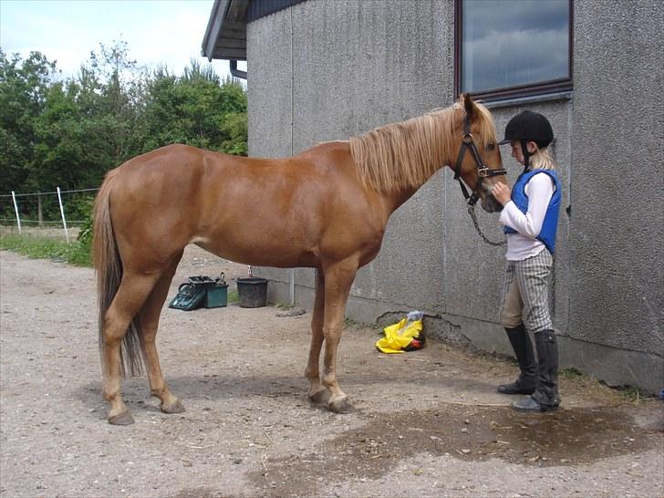 Anden særlig race Ginger, elsket og savnet...<3 - But i shared everything i hd, and we found a way to live.. billede 6