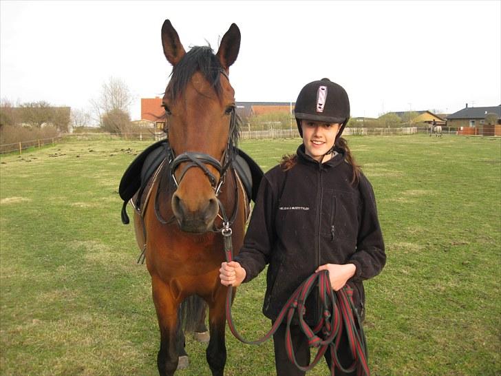Pura Raza Española Baltic Blizzard - Klar til at longere :P Foto - Far  billede 11