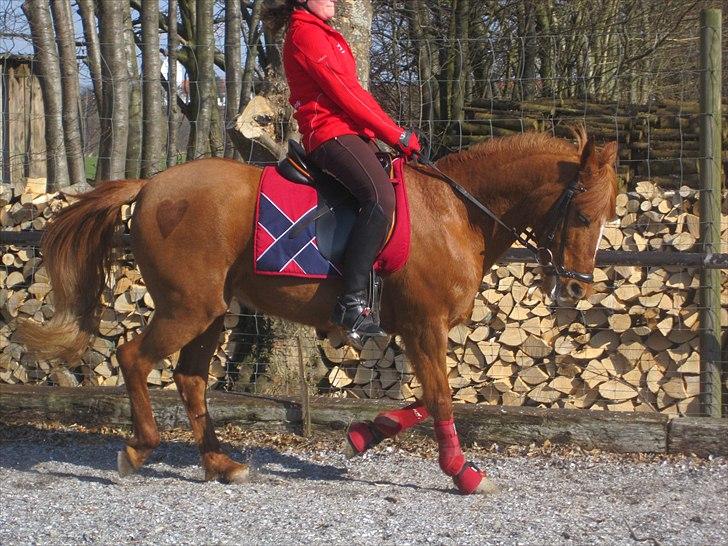 Anden særlig race Red Mystery { MIT ALT! }  - Undervisning! <´3 billede 3