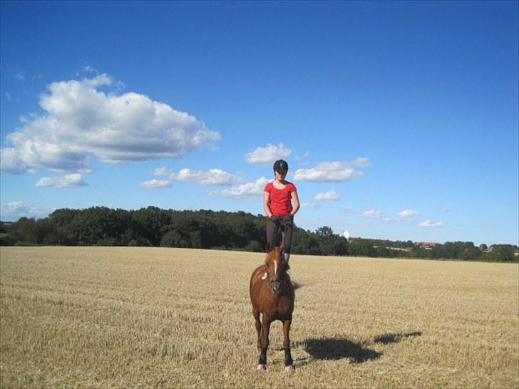Anden særlig race Red Mystery { MIT ALT! }  - Misse og AK forever. Og sådan vil det Altid være ;] <´3 billede 15