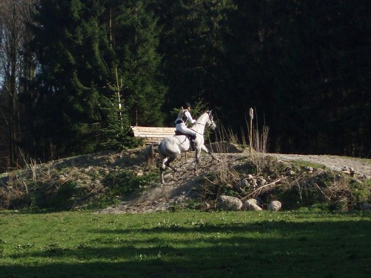 Arabisk fuldblod (OX) Team Sødrings Maximum - mig og Maximum på vej op af bjerget billede 17