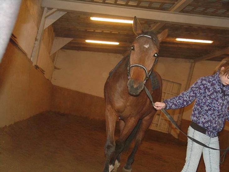 {{currentPhoto.altText}} billede {{currentPhoto.number}}