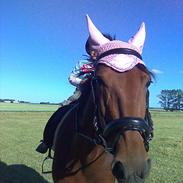 Traver La petite simoni