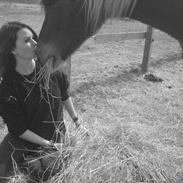 Anden særlig race Ivanhoe "solgt"