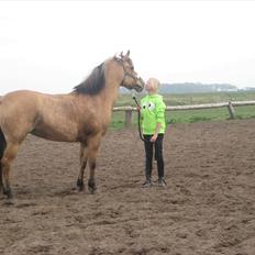 Anden særlig race Gimmle *SAVNER DIG!*