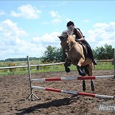 Anden særlig race Gimmle *SAVNER DIG!*