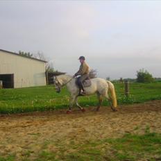 Connemara Rabel'<33 'Solgt'<3