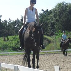 Anden særlig race Kordian †15/4-11†