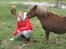 Shetlænder Lukas - FORTID - Frække pony xD