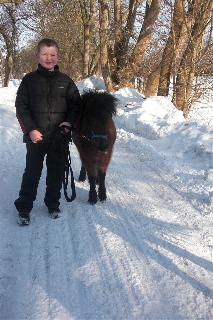 Anden særlig race Tindals Kenai   solgt billede 7