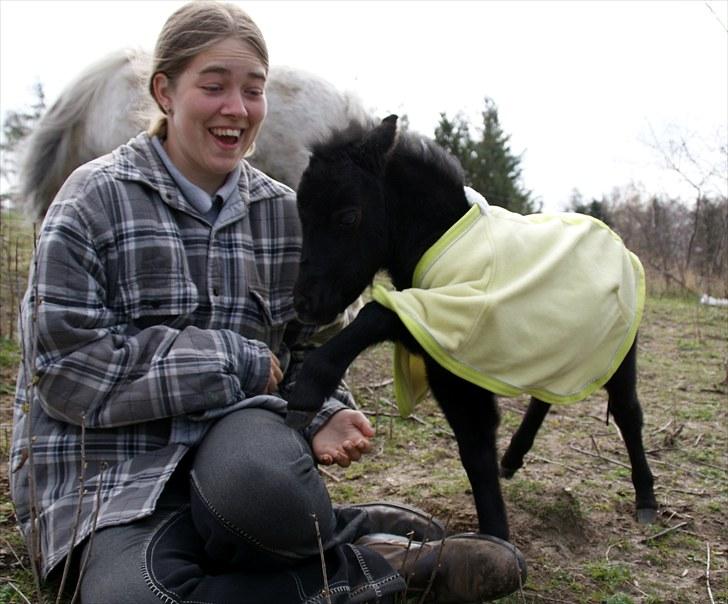 Belgisk Miniature RKG Moons Happy Miracle - d. 27 april 10 Ta´ den pige! billede 8