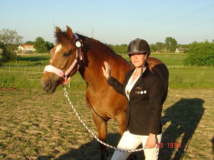 New Forest Roløkke Alpe billede 10