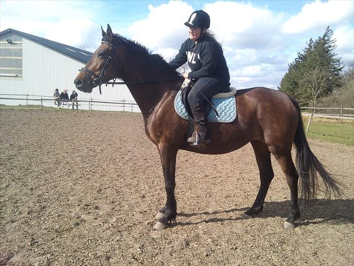 Anden særlig race montana billede 1