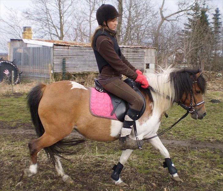 Anden særlig race Emma (Solgt) billede 6