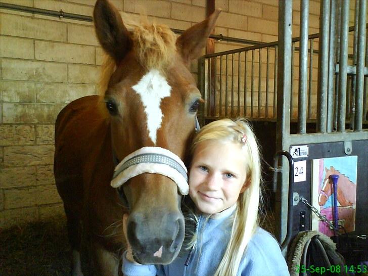 New Forest Lillehøjs Meranti - Mig og min ejer Signe:D hun er bare sød!  billede 2