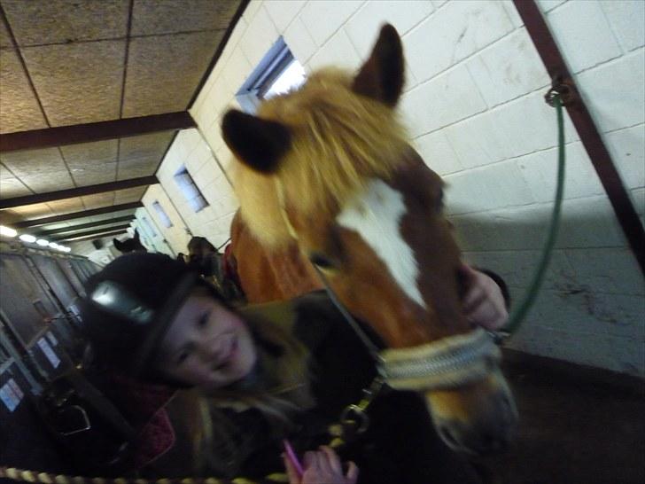 New Forest Lillehøjs Meranti - Hehe Signe er meget skør!<3:D billede 4