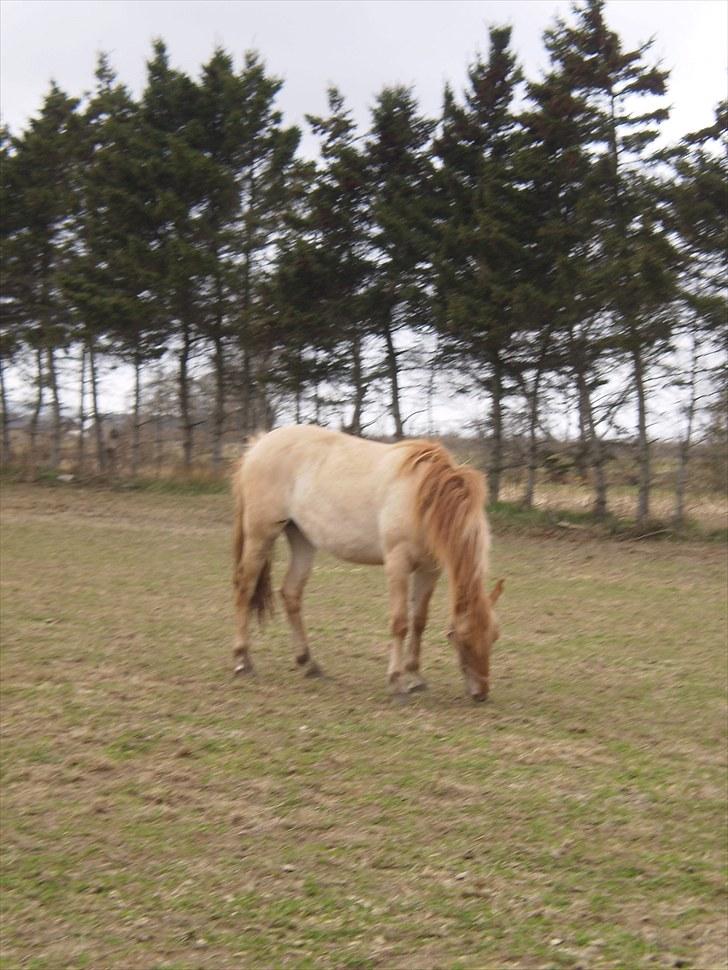 Anden særlig race Østermarkens Maline Solgt - Uhm det smager godt:) billede 6