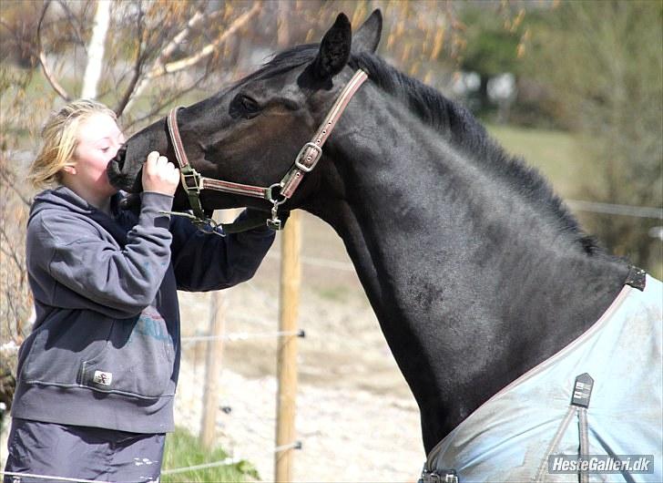 Anden særlig race miss money penny Rip <3  - kysse. fotograf: MC billede 14