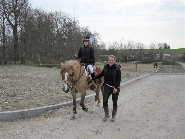 Anden særlig race Golden Amber..Hjemme igen<3 - Team Brysting billede 5