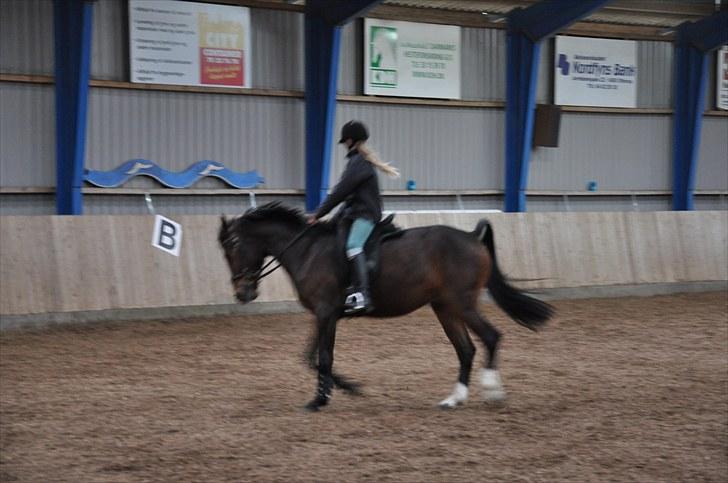 Anden særlig race victory billede 9