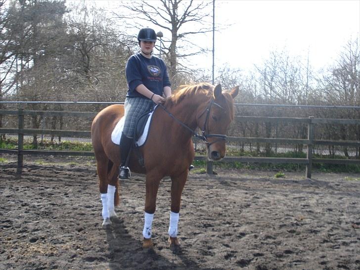 Fuldblod (XX) Malou *RIP* billede 8